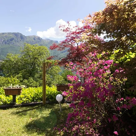 Miralago Al Sole Appartamento Oliveto Lario